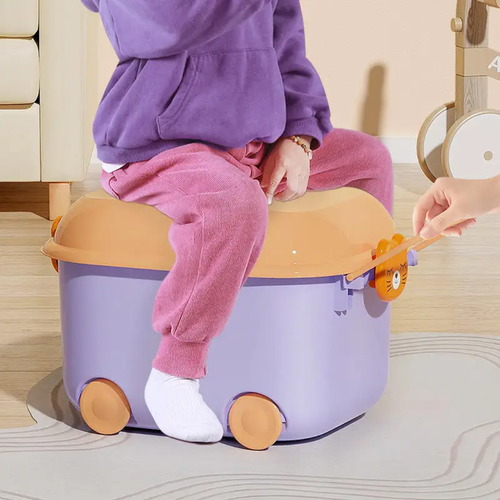 Boîte de rangement de jouets et accessoires